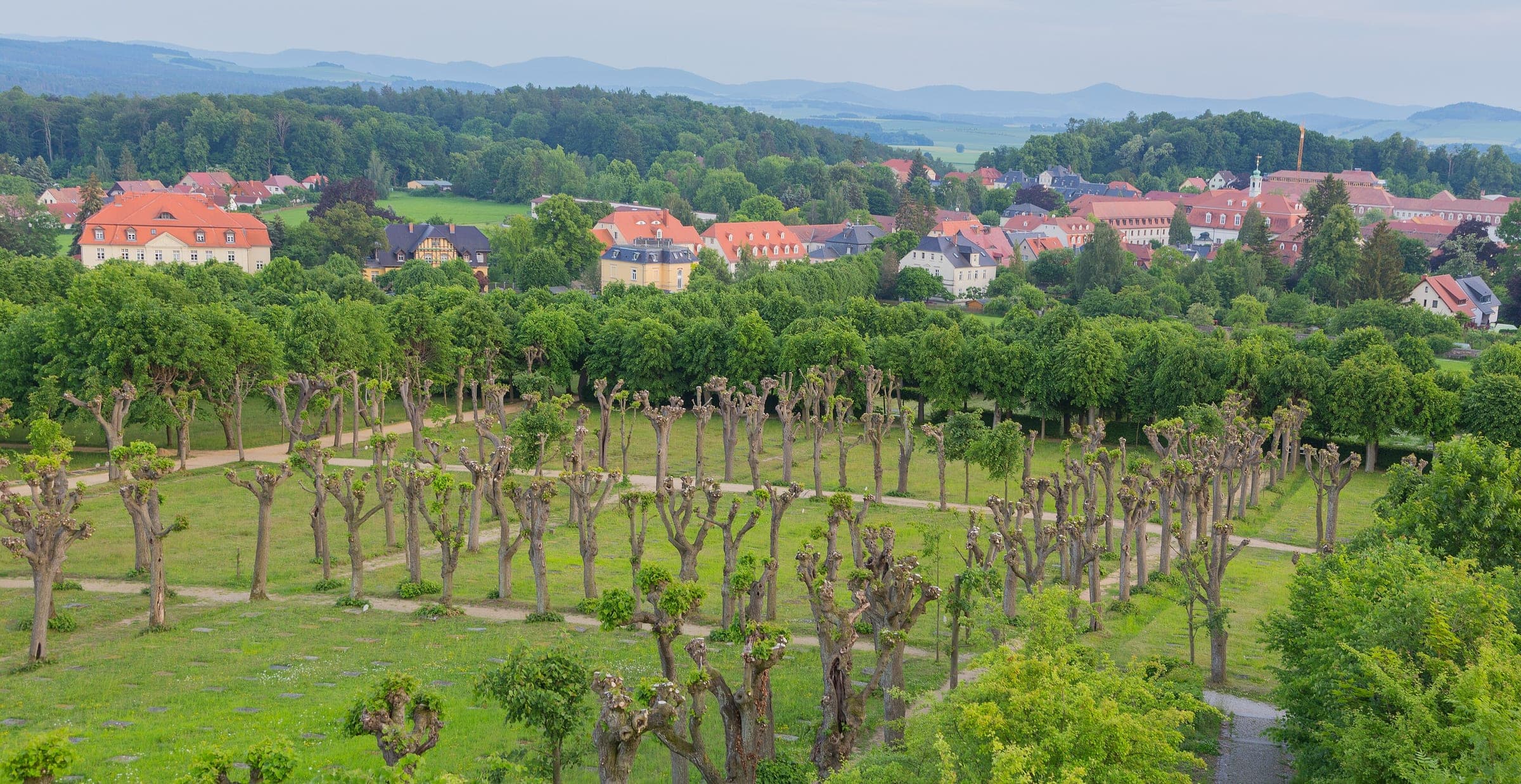Rows of pollarded trees cross the Moravian burial ground in front of the town of Herrnhut.